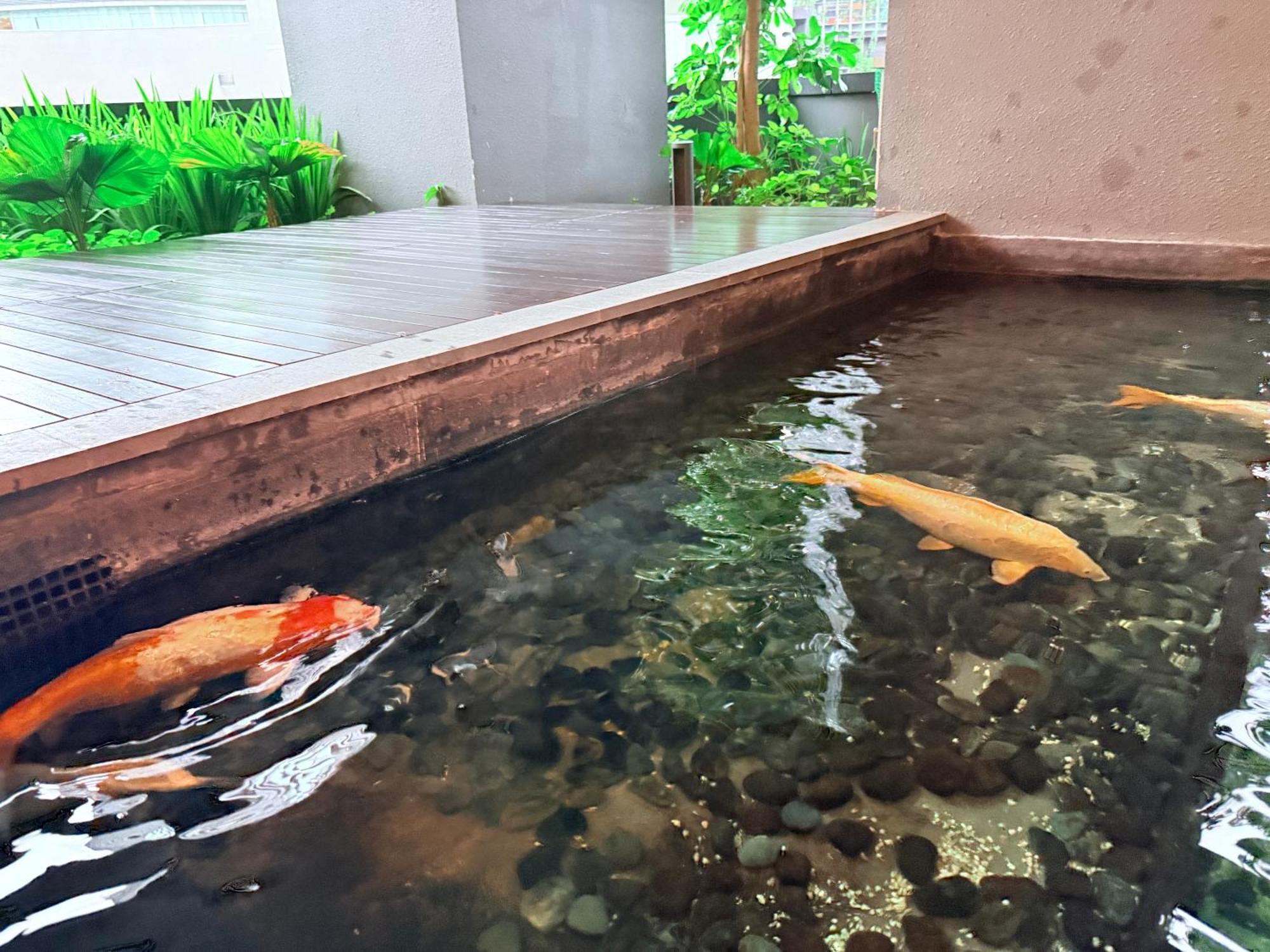 Rooftop Pool Klcc Star Pangsapuri
